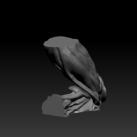 Licker RE 2 Remake one sixth scale - Thumbnail 22
