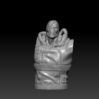 Nemesis RE3 one sixth scale kit - Thumbnail 12