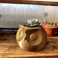 Small Owl Planter 3D Printing 468875