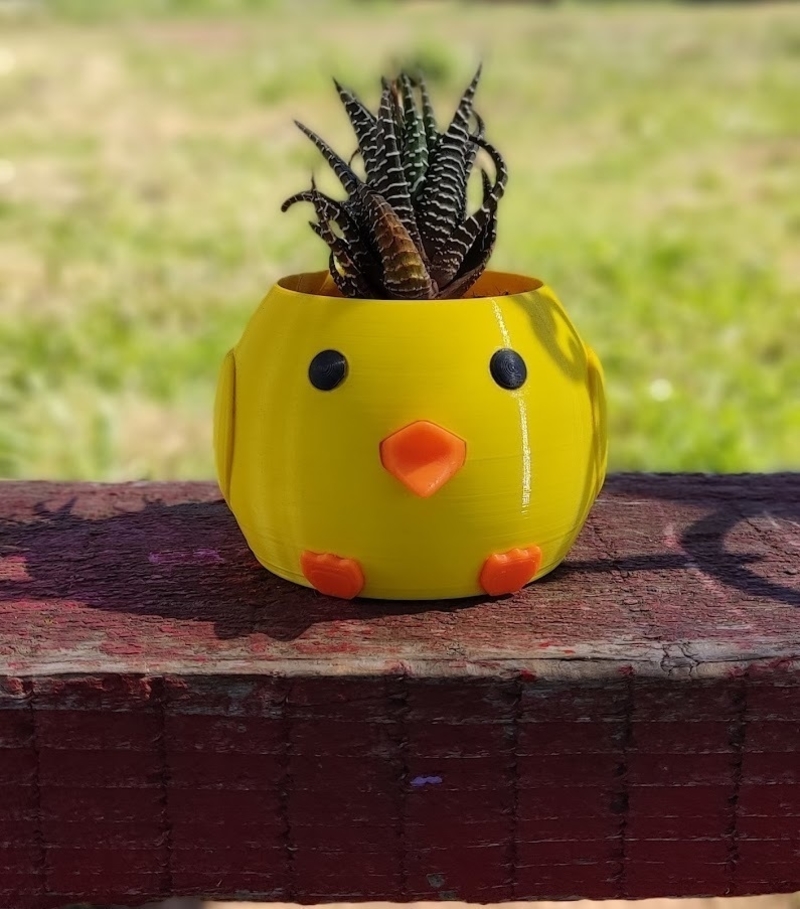 Chicken Planter 