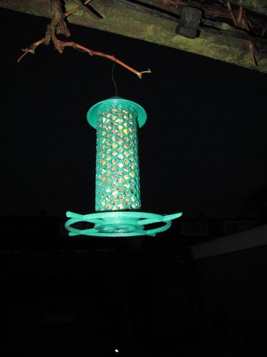 Bird feeder 3D Print 46936