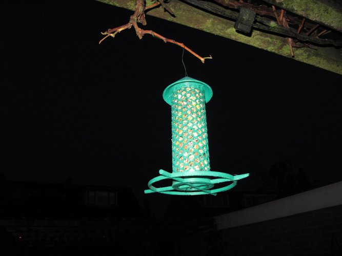 Bird feeder 3D Print 46937