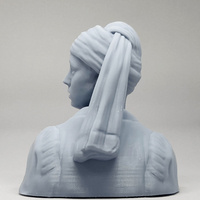 Girl with a Pearl Earring 3D print model - Thumbnail 8