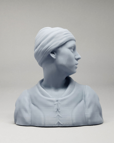 Girl with a Pearl Earring 3D print model 3D Print 469419