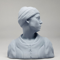 Girl with a Pearl Earring 3D print model - Thumbnail 11