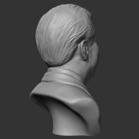 Xi Jinping 3D print model - Thumbnail 4