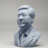 Xi Jinping 3D print model - Thumbnail 7