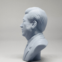 Xi Jinping 3D print model - Thumbnail 8