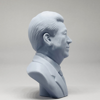 Xi Jinping 3D print model - Thumbnail 10