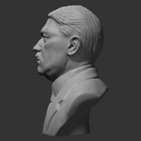 Adolf Hitler 3D print model - Thumbnail 2
