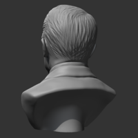 Adolf Hitler 3D print model - Thumbnail 3