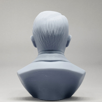 Adolf Hitler 3D print model - Thumbnail 9