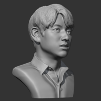BTS JungKook 3D print model - Thumbnail 6