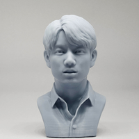 BTS JungKook 3D print model - Thumbnail 7