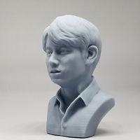 BTS JungKook 3D print model - Thumbnail 8