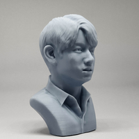 BTS JungKook 3D print model - Thumbnail 12