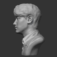 BTS Jimin 3D print model - Thumbnail 12