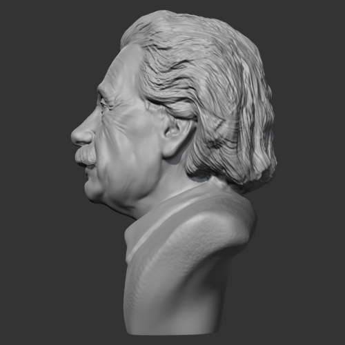 Einstein 3D print model 3D Print 469494