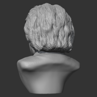 Einstein 3D print model - Thumbnail 3