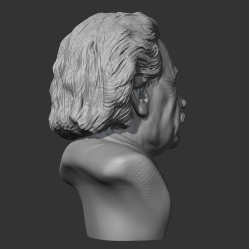 Einstein 3D print model 3D Print 469496