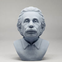 Einstein 3D print model - Thumbnail 6