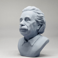Einstein 3D print model - Thumbnail 7