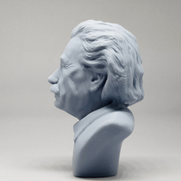 Einstein 3D print model - Thumbnail 8