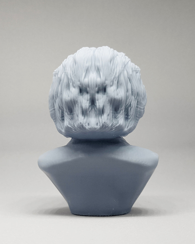 Einstein 3D print model 3D Print 469501