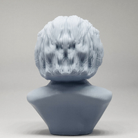 Einstein 3D print model - Thumbnail 9