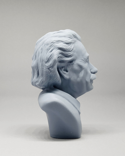 Einstein 3D print model 3D Print 469502