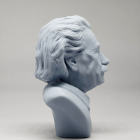Einstein 3D print model - Thumbnail 10
