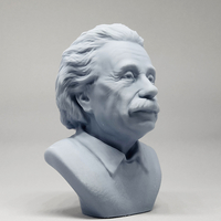Einstein 3D print model - Thumbnail 11