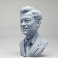 Moon Jae-in 3D print model - Thumbnail 8