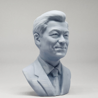 Moon Jae-in 3D print model - Thumbnail 12