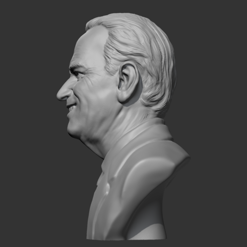 Joe Biden 3D print model 3D Print 469531