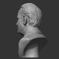 Joe Biden 3D print model - Thumbnail 2