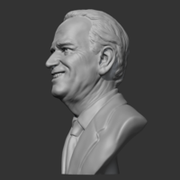Joe Biden 3D print model - Thumbnail 10