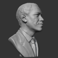 Barack Obama 3D print model - Thumbnail 8