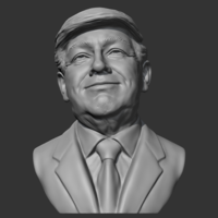 Donald Trump 3D print model - Thumbnail 2