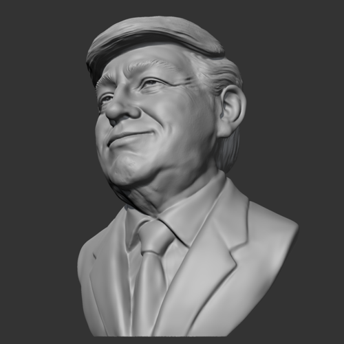 Donald Trump 3D print model 3D Print 469581