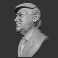 Donald Trump 3D print model - Thumbnail 4