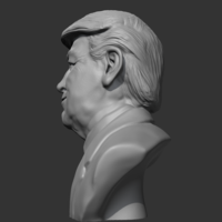 Donald Trump 3D print model - Thumbnail 5