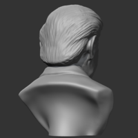 Donald Trump 3D print model - Thumbnail 7
