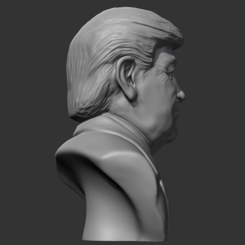 Donald Trump 3D print model 3D Print 469586