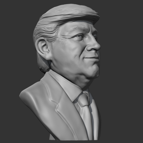 Donald Trump 3D print model 3D Print 469587