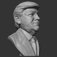 Donald Trump 3D print model - Thumbnail 9