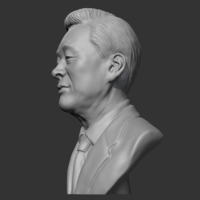 Kim Young-sam 3D print model - Thumbnail 5