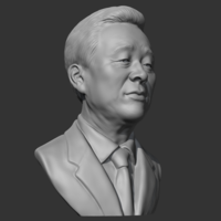 Kim Young-sam 3D print model - Thumbnail 10