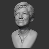 Park Geun-hye 3D print model - Thumbnail 3