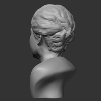 Park Geun-hye 3D print model - Thumbnail 7
